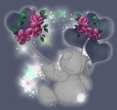 nounourse blanc